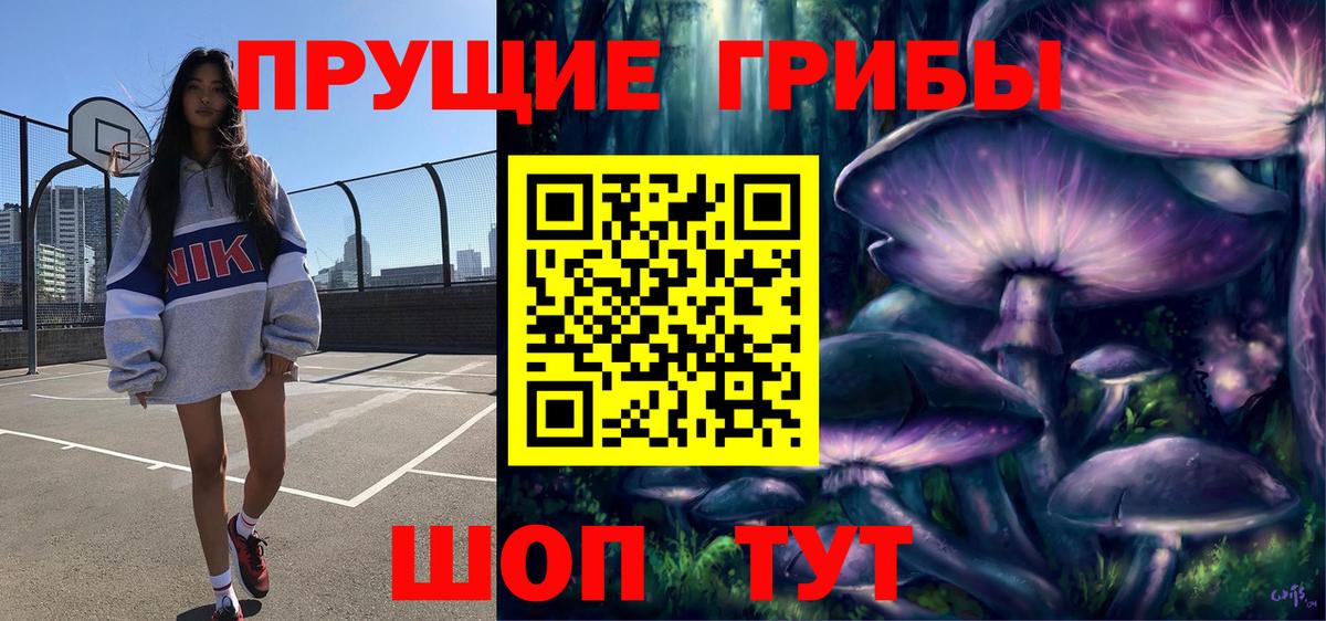 Галлюциногенные грибы Psilocybe Рязань